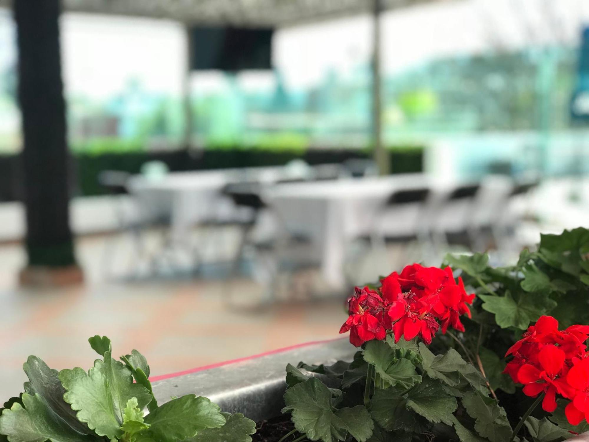Hotel Malinalli Huamantla Εξωτερικό φωτογραφία